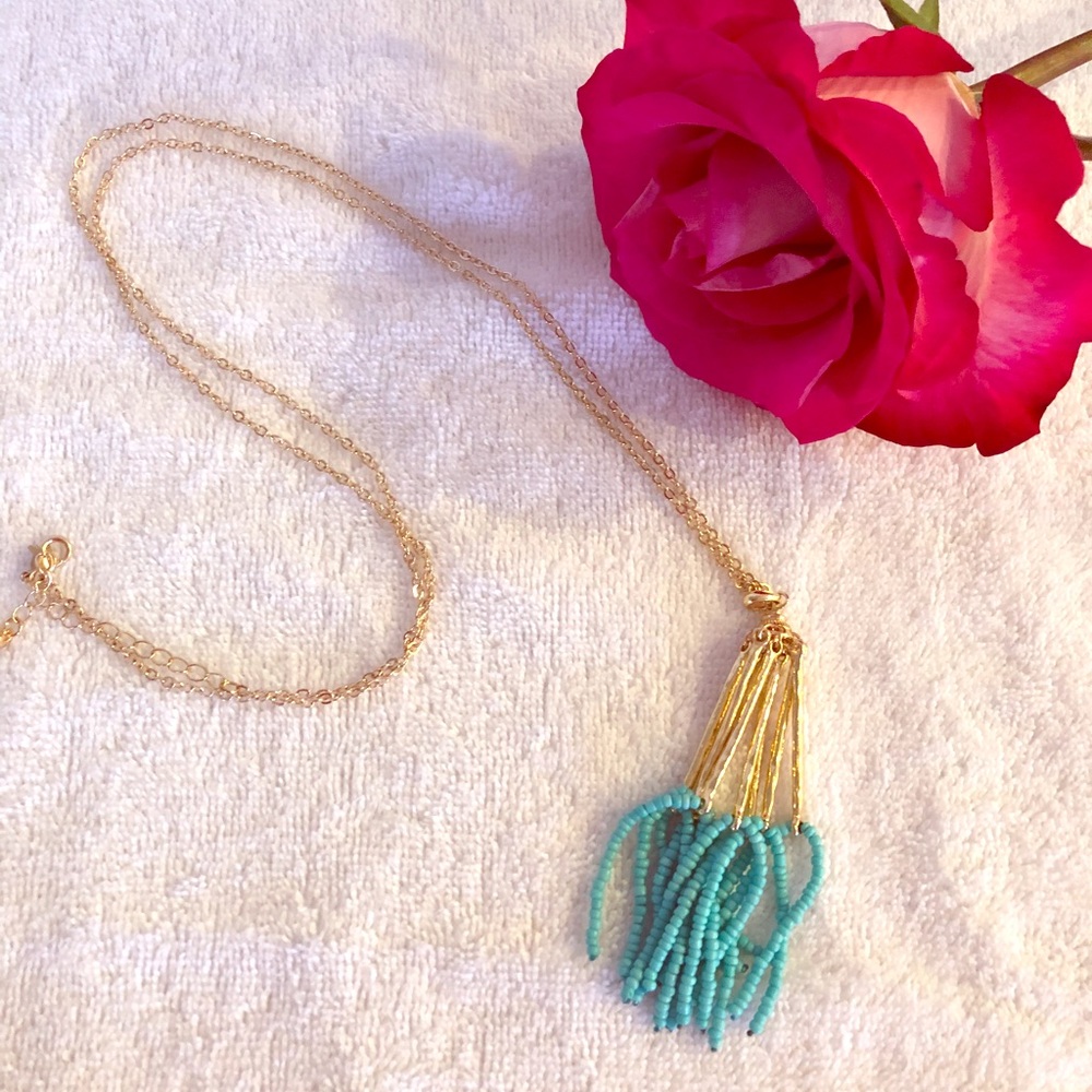 👀💜 NWOT Necklace with faux turquoise tassel
